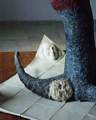 El Pelele, detail (papírová hmota, porcelán) / El Pelele, detail (porcelain, papier maché) / 180 cm, 1999 photo