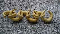 Souvislosti, kamenina / Continuity, stoneware photo