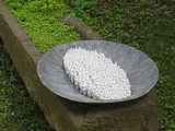 Mísa, porcelán / Dish, porcelain / 2008 photo